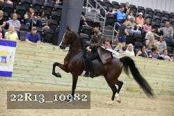 22R13_10982 proof