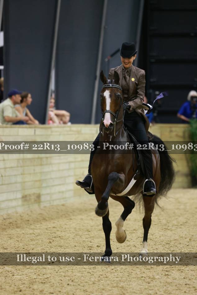 Proof 22R13_10983
