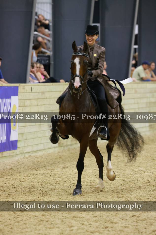 Proof 22R13_10985