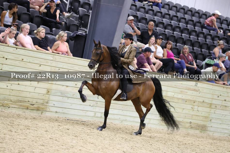Proof 22R13_10987
