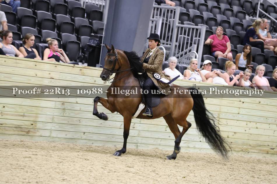 Proof 22R13_10988