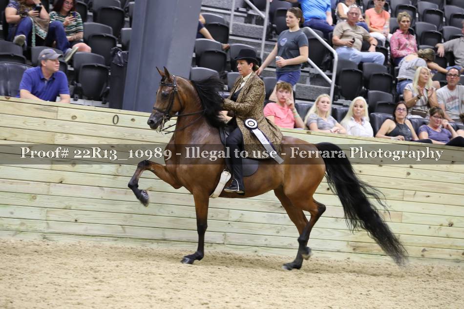 Proof 22R13_10989