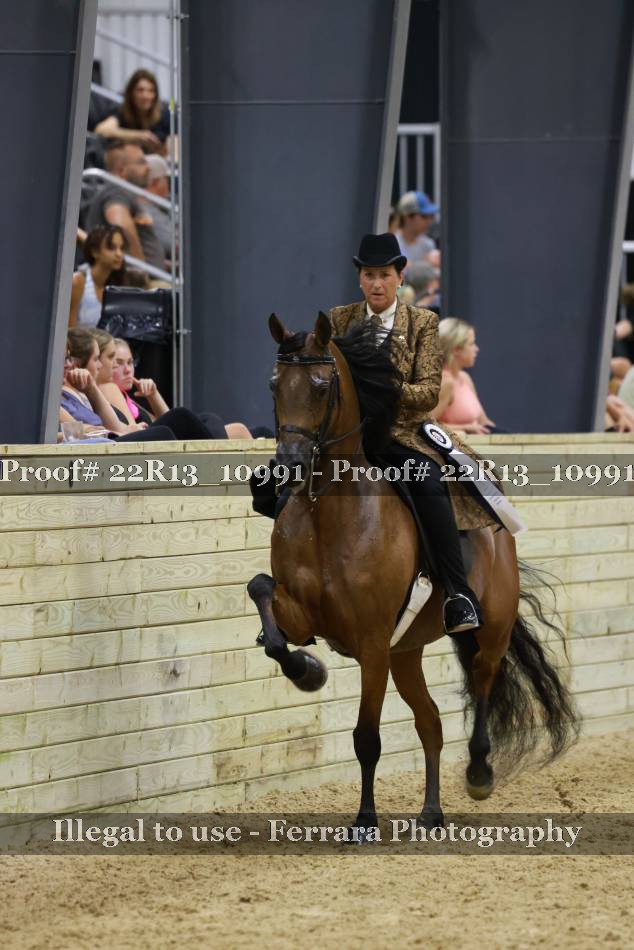 Proof 22R13_10991