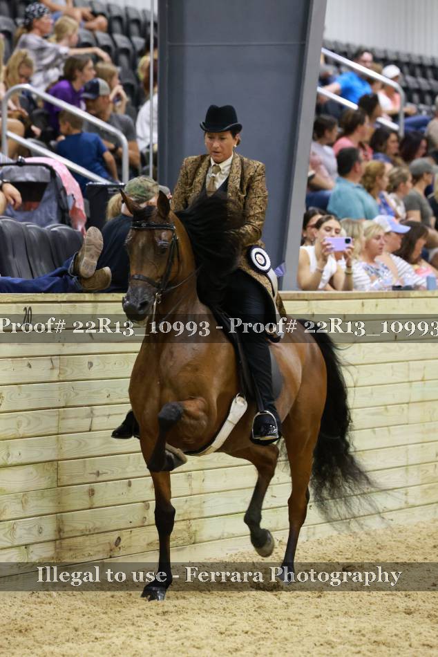 Proof 22R13_10993