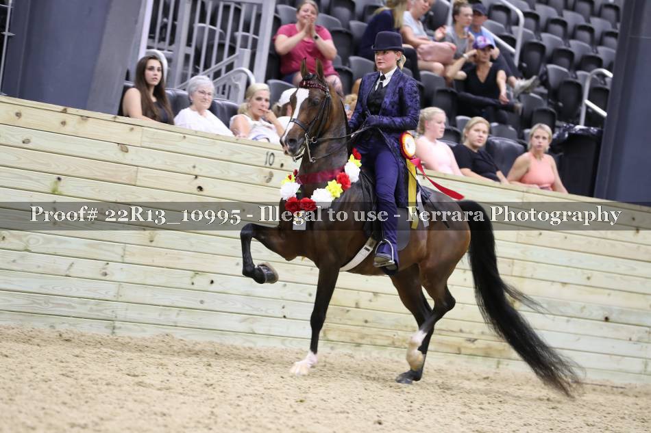Proof 22R13_10995