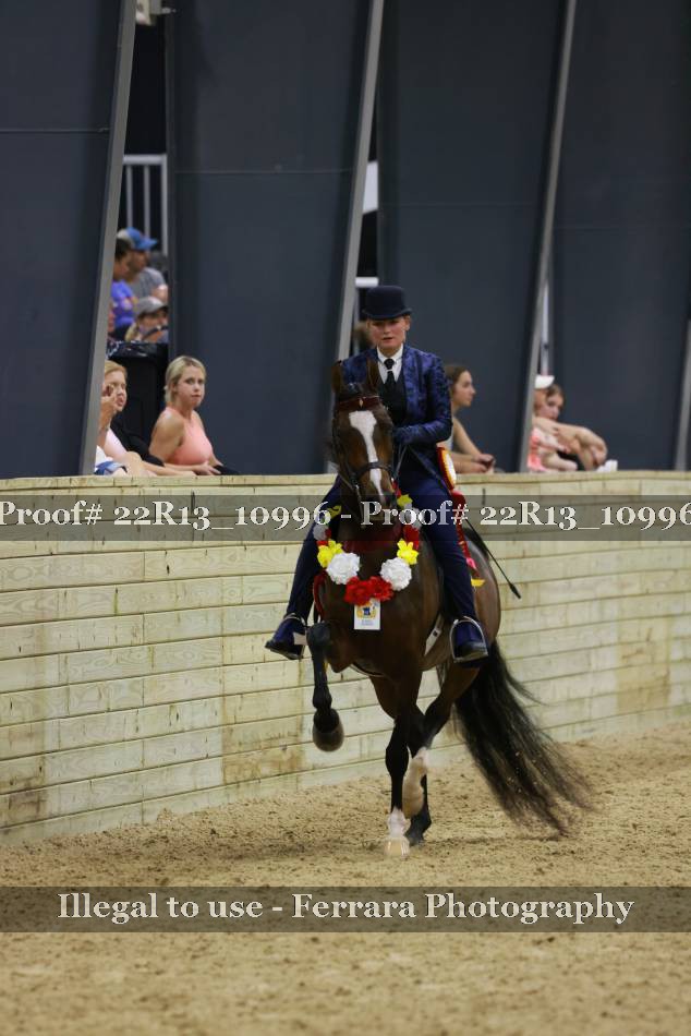 Proof 22R13_10996