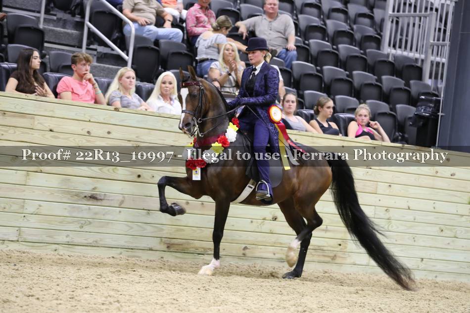 Proof 22R13_10997