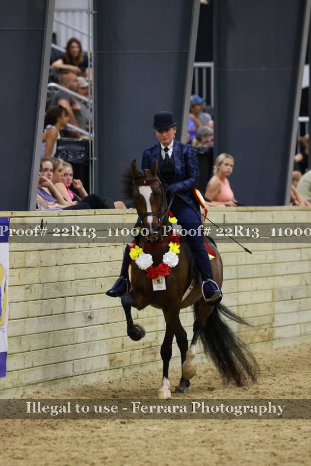 Proof 22R13_11000