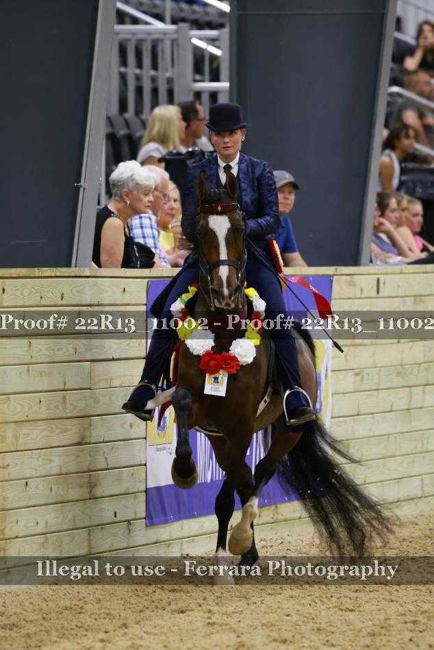 Proof 22R13_11002