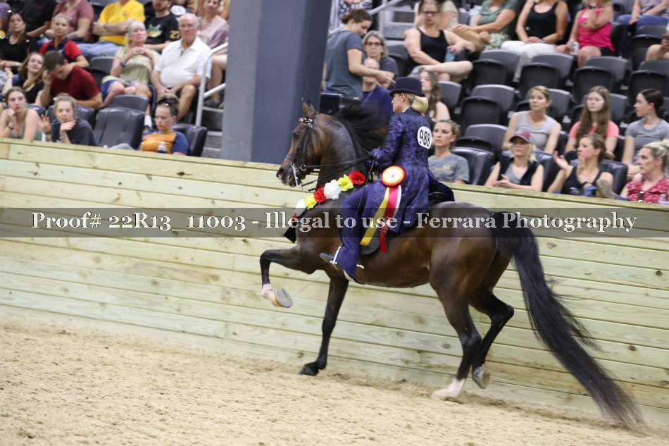 Proof 22R13_11003