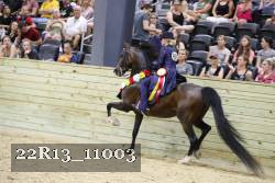 22R13_11003 proof