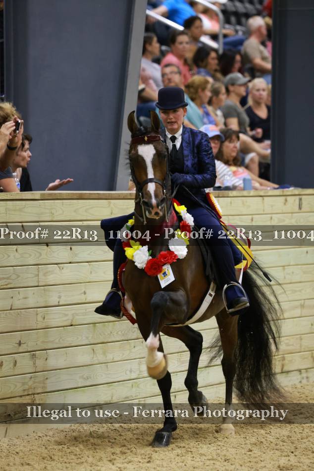 Proof 22R13_11004