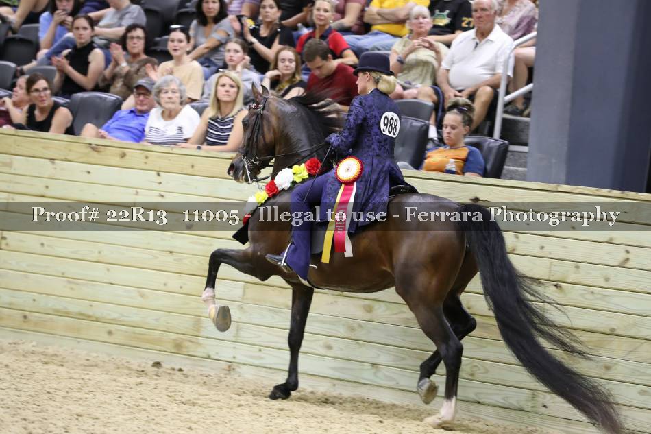 Proof 22R13_11005