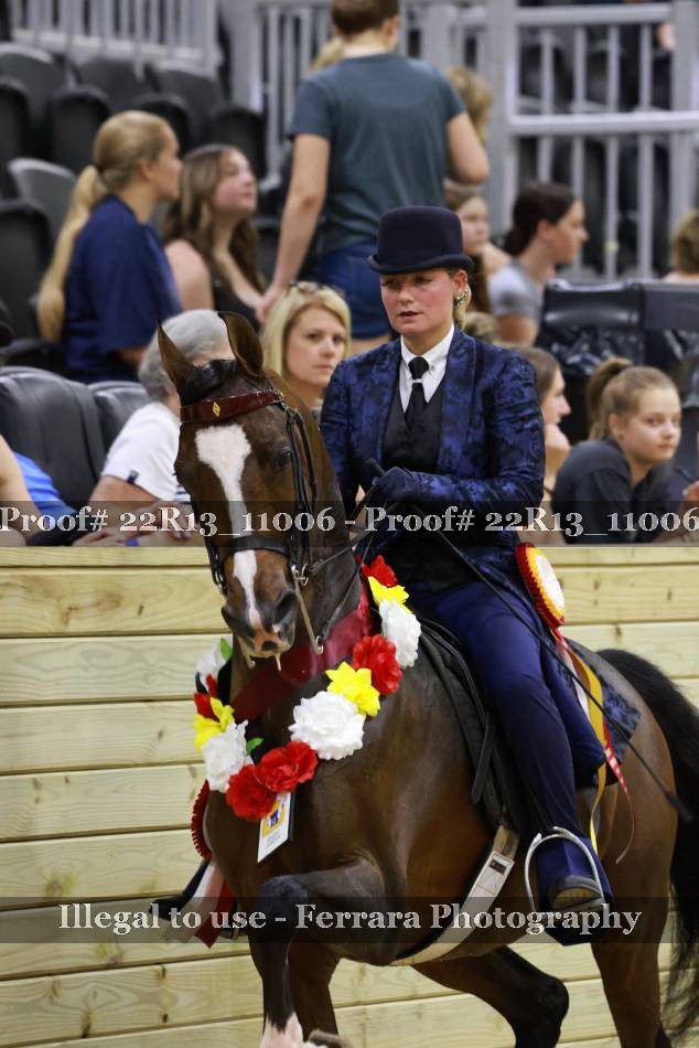 Proof 22R13_11006