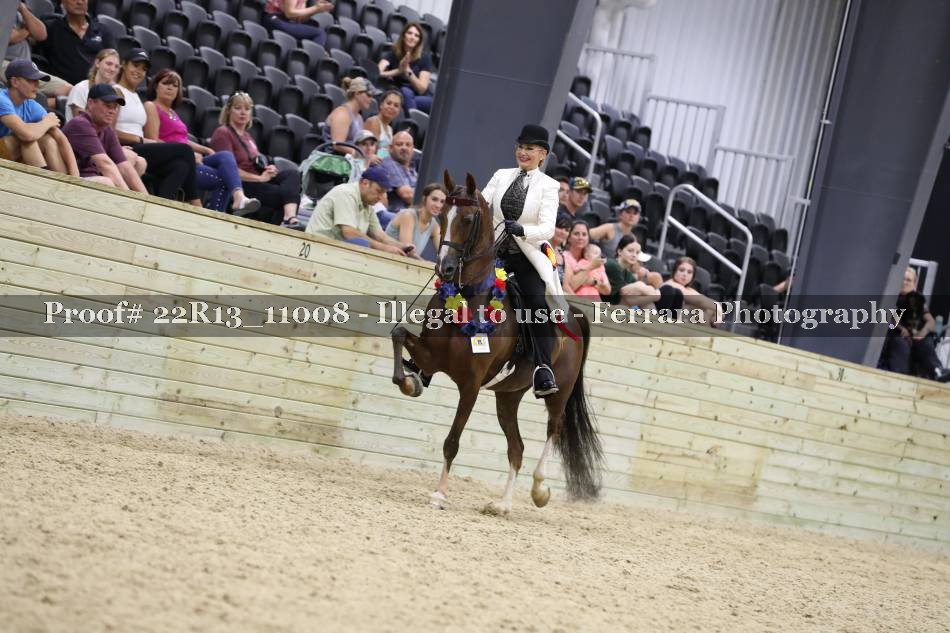 Proof 22R13_11008
