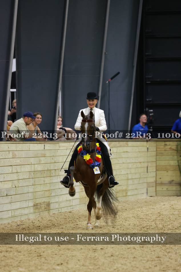 Proof 22R13_11010