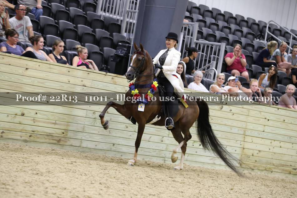 Proof 22R13_11011