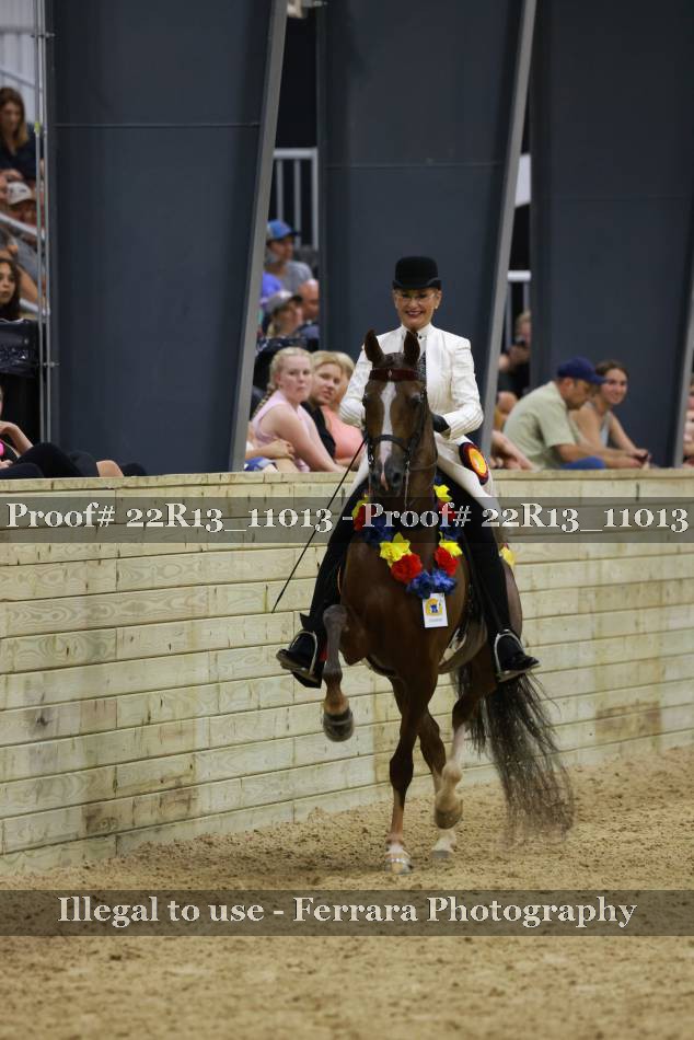 Proof 22R13_11013