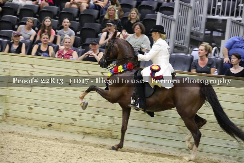 Proof 22R13_11017