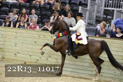 22R13_11017 proof
