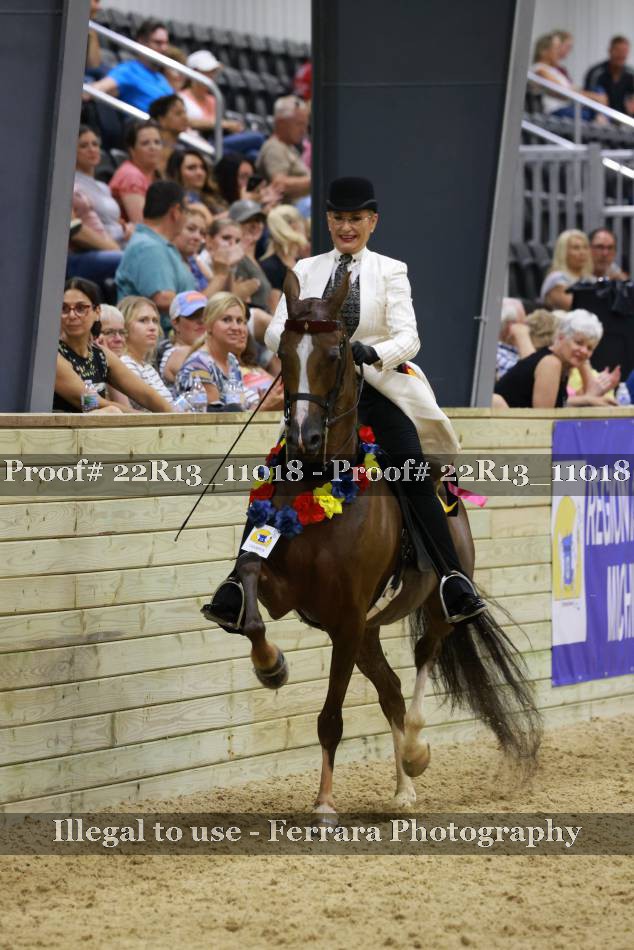 Proof 22R13_11018