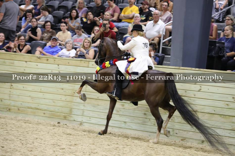 Proof 22R13_11019