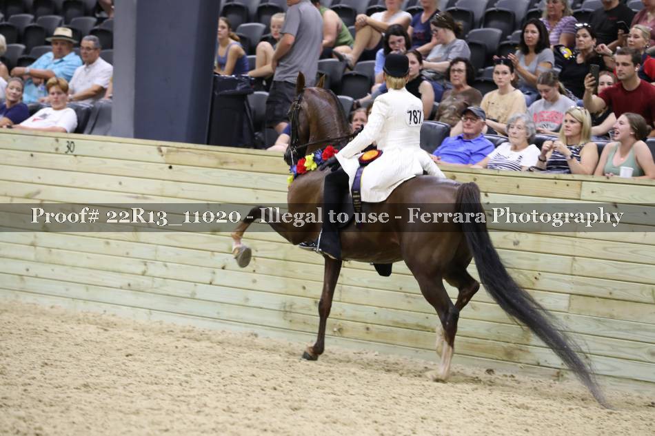 Proof 22R13_11020