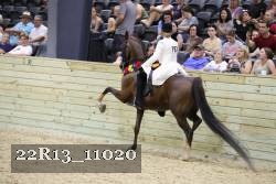 22R13_11020 proof