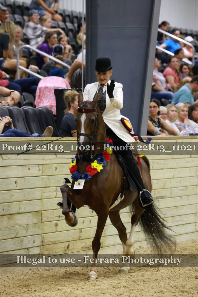 Proof 22R13_11021