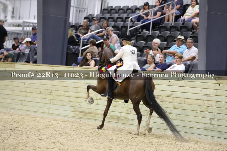 Proof 22R13_11023