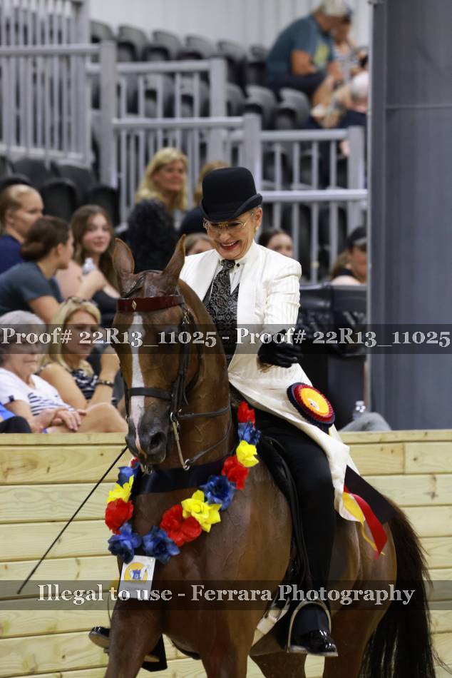 Proof 22R13_11025