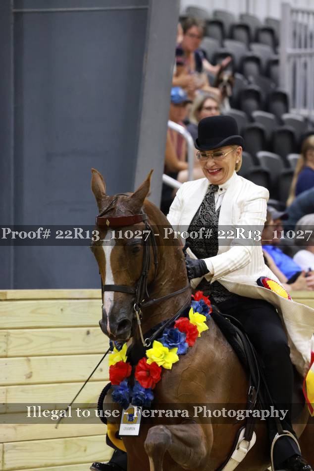 Proof 22R13_11027