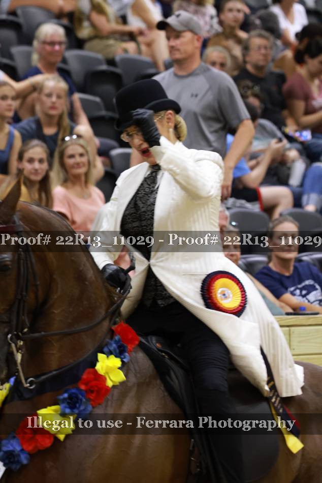Proof 22R13_11029
