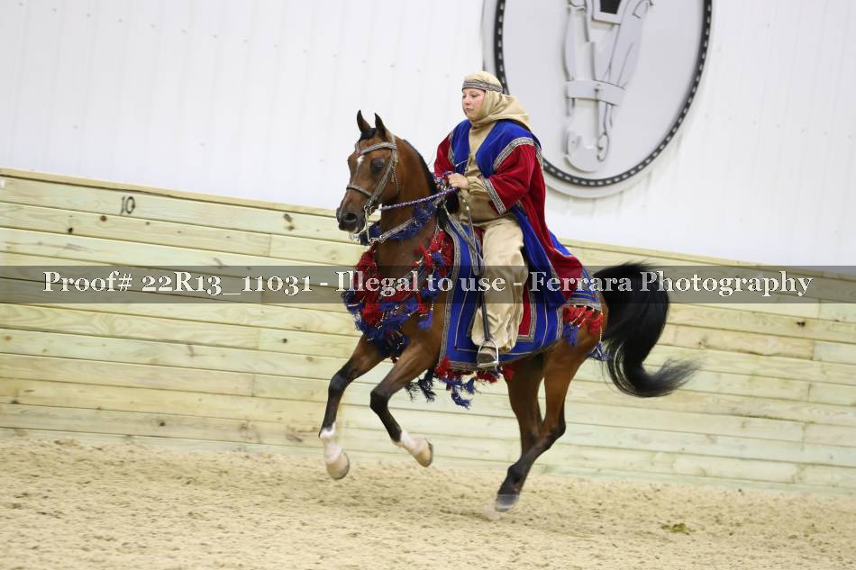 Proof 22R13_11031