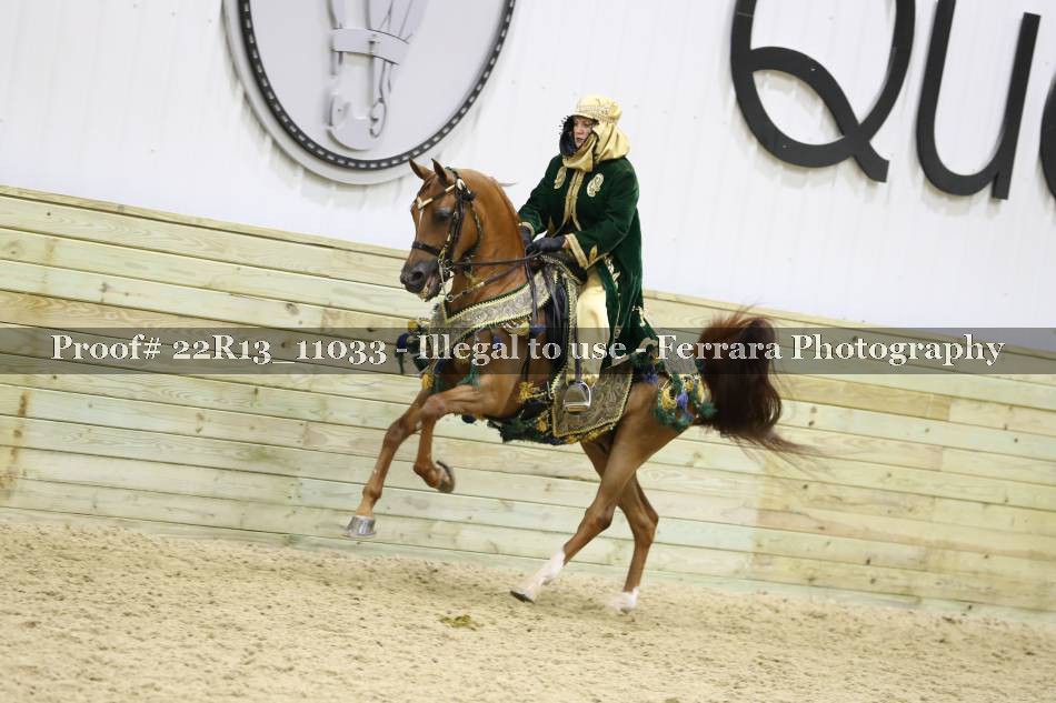 Proof 22R13_11033