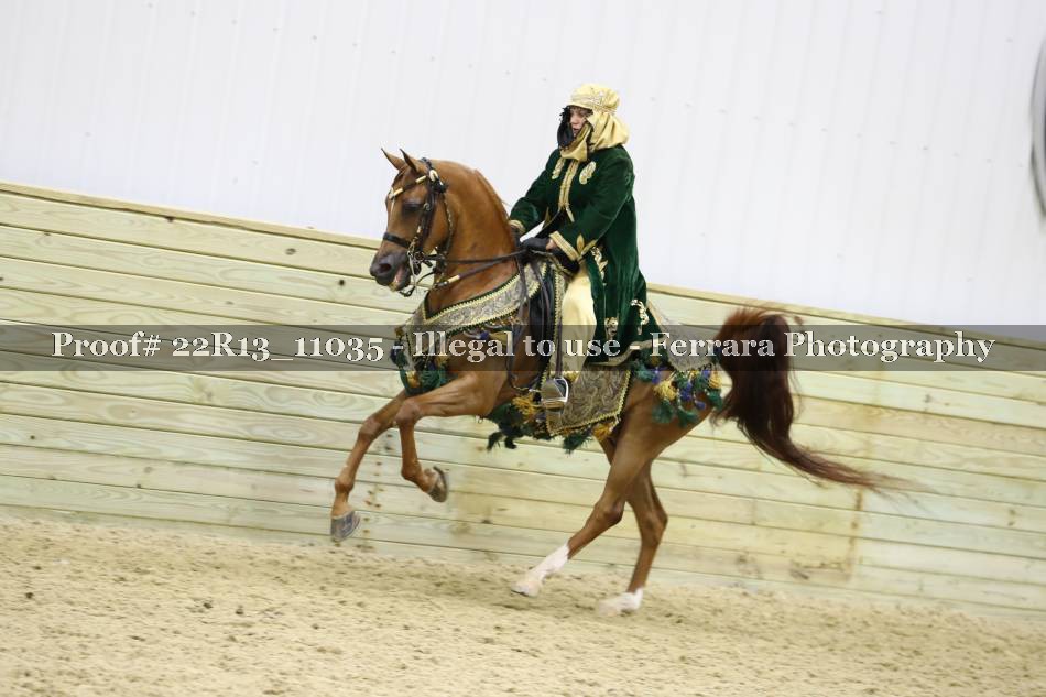 Proof 22R13_11035