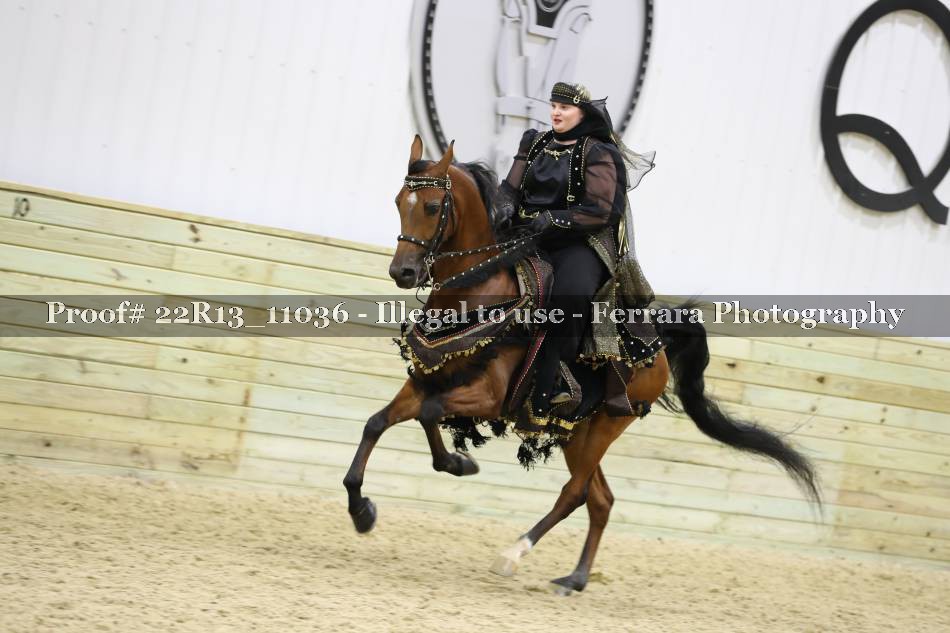 Proof 22R13_11036