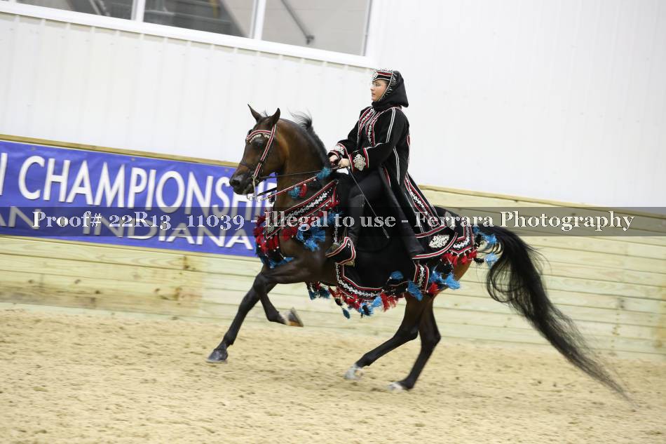 Proof 22R13_11039