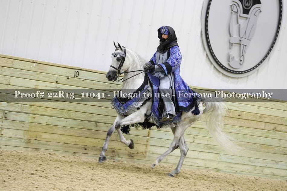 Proof 22R13_11041