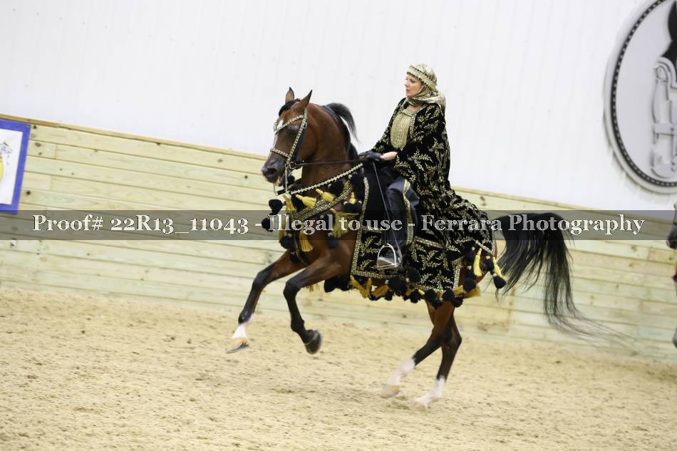 Proof 22R13_11043
