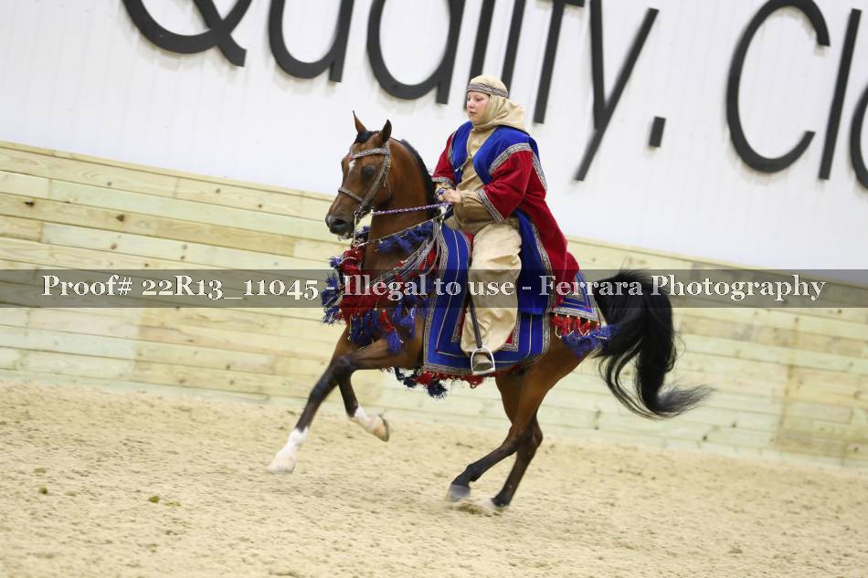 Proof 22R13_11045