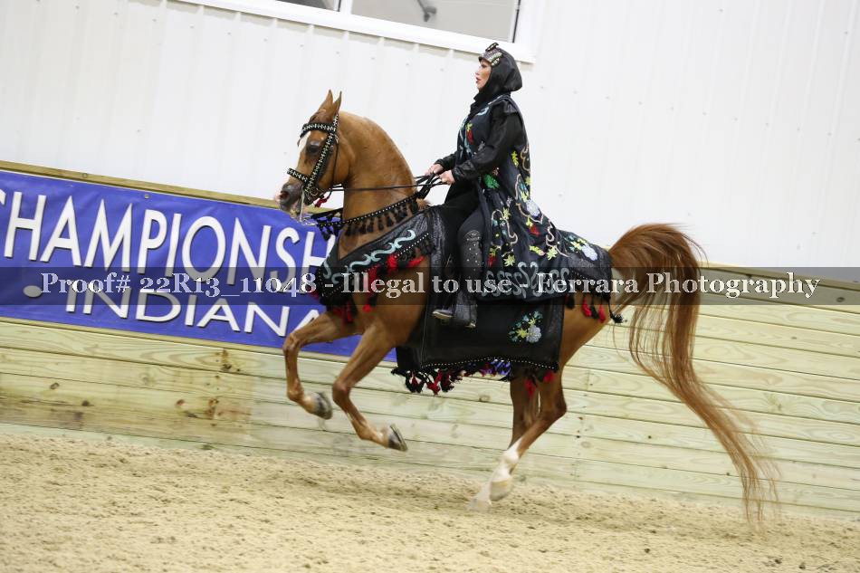 Proof 22R13_11048