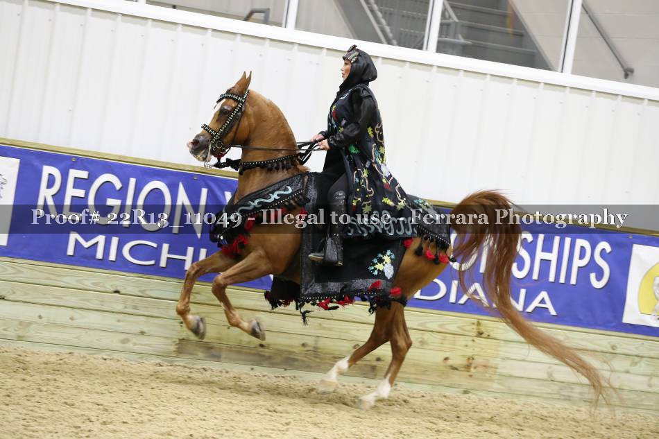 Proof 22R13_11049
