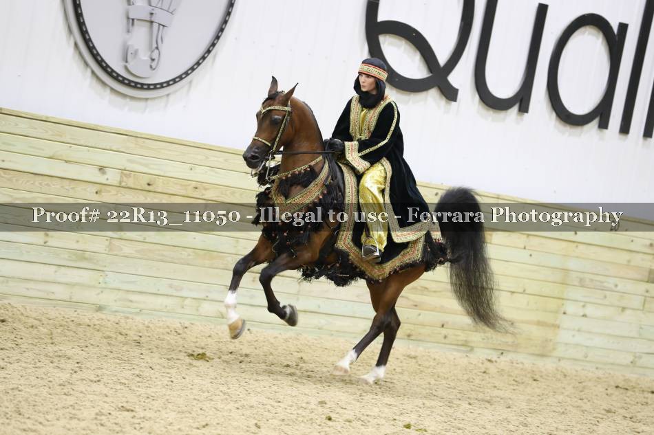 Proof 22R13_11050
