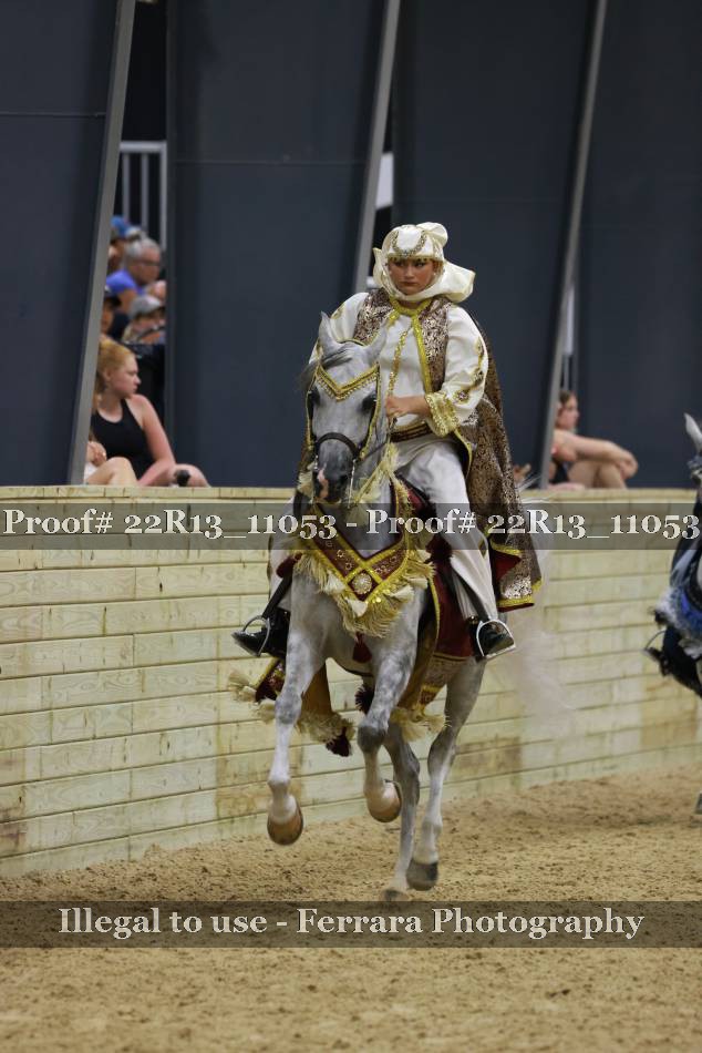Proof 22R13_11053