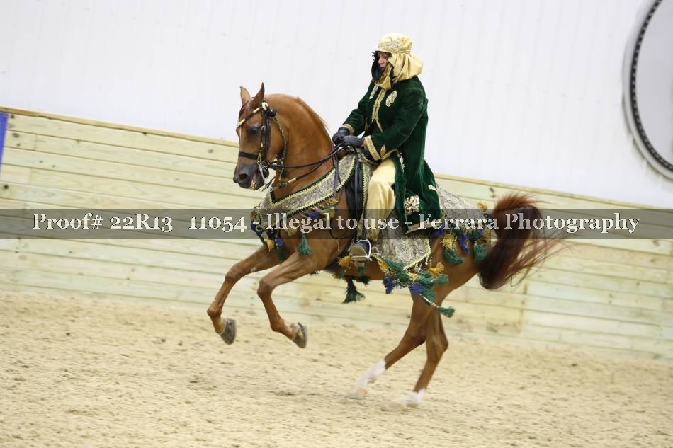 Proof 22R13_11054