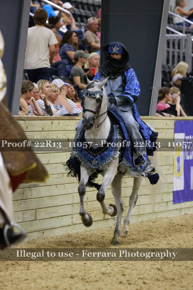 Proof 22R13_11057