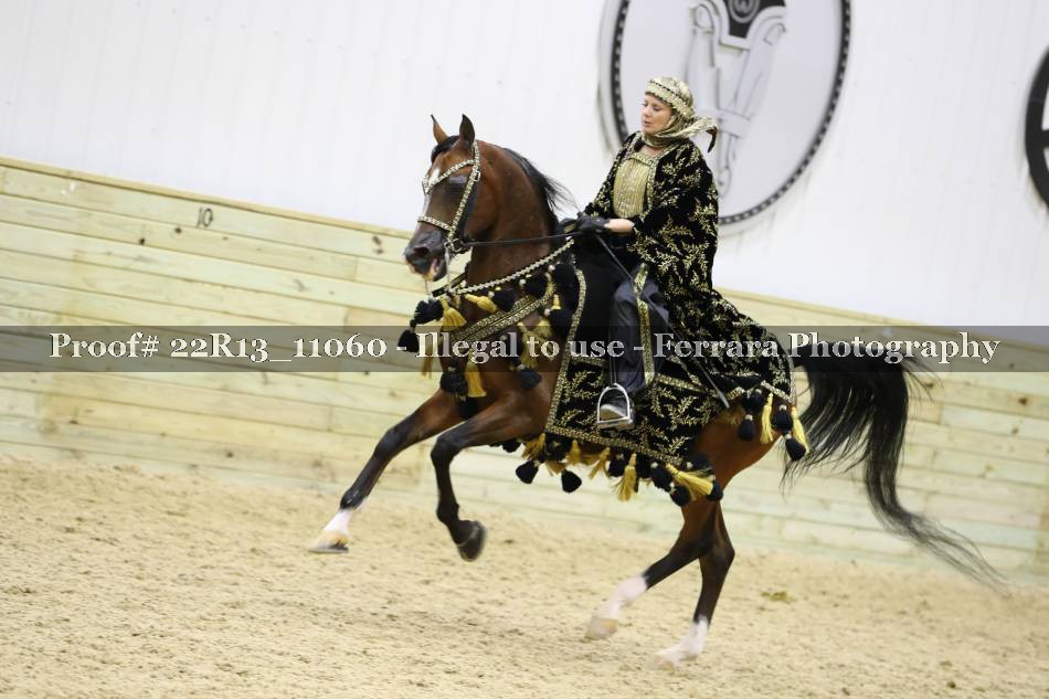 Proof 22R13_11060