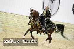 22R13_11060 proof