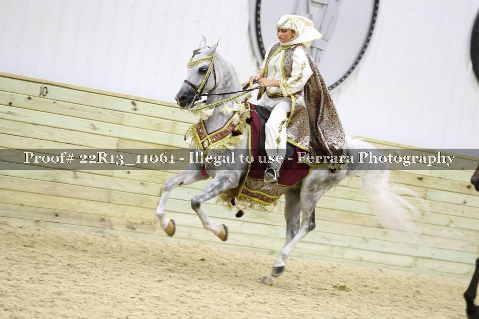 Proof 22R13_11061